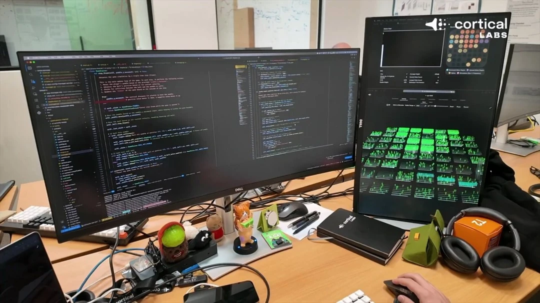 德国球衣号,码调整,鲍曼披,皇冠娱乐,Crown,皇冠娱乐体育官网,皇冠娱乐官网,皇冠娱乐体育下载